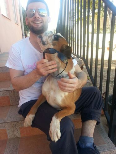 rafaeta85's profile picture. 