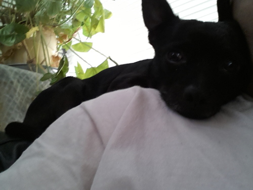 M7977Mike's profile picture. 