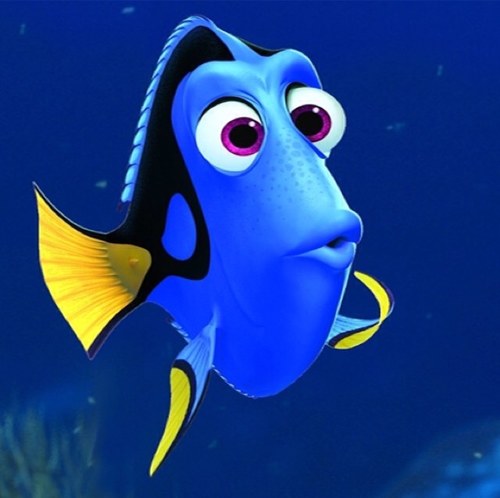 FindingDorrry's profile picture. Hey, I'm Dory. That's all... 2015 and I'll be FAMOUS!

I'm Lost. SHIT.
http://t.co/MC6l3AFzVj
http://t.co/EqEIMF9E6Q