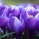 Brenda Stringer - @Brenda_Stringer - Twitter