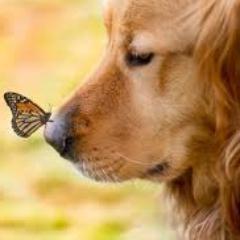 BurgonNicole Profile Picture