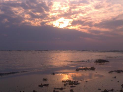 nssss111's profile picture. 