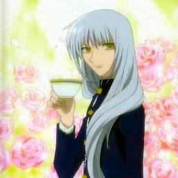 I am the biological older brother of Yuki Sohma; possessed by the Snake of the Zodiac.