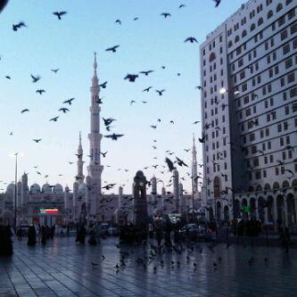 Entesar_Alharbi's profile picture. ​أقرب الناس لقلبك :  هو من يلآحظ تغير مزآجك  من حروف تكتبهآ ..  تلك هي مهآرةٌ لآ يتقنهآ آلآ آلقليل ♡ .