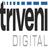 TriveniDigital's profile image