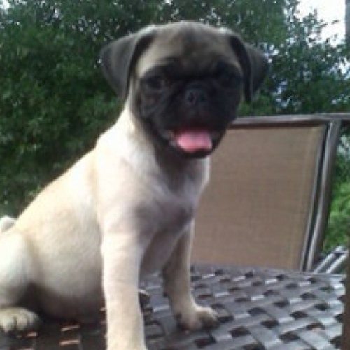 tatipulido_'s profile picture. “time you enjoy wasting isn’t wasted time” 🦉🍃