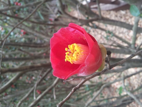 great0315's profile picture. 창원 직장인