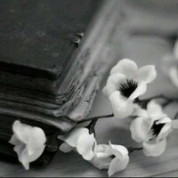 3nood ♚ (@al3noo_od) 's Twitter Profile