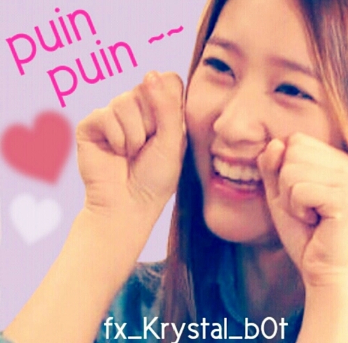 追放されちゃったときに使います！@fx_Krystal_B0Tが本垢です。フォロワーさんは無言フォローしちゃいますけど許してください…