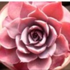 안녕하세요..반갑습니다.서로 좋은 정보 공유해요~