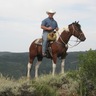 _NewStateLands's profile picture. 