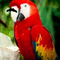 Chavista,Socialista,Humanista,Bolivariana,Revolucionaria.
