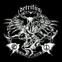 DETRIFUS (@detrifus) 's Twitter Profile Photo