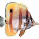 jane morehouse - @kordonllc - Twitter