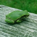 Cindy Doherty - @DohertyCindy - Twitter