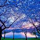 Sara Dyson - @sara_dyson - Twitter