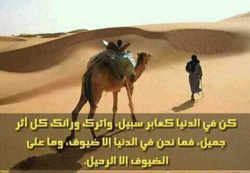 hmoodsied90com9's profile picture. 