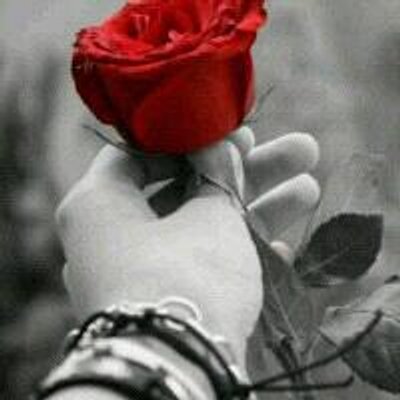 S H Love Http T Co Ir6hz8beu0