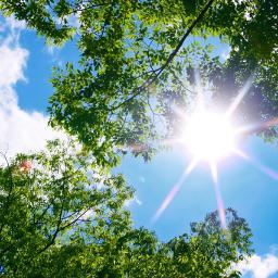 35_Yamamoto's profile picture. 16のときから、ネットで小遣い稼ぎをしています。
今は500万円の貯金を目指して頑張っています。
本が好きで、よく本を読んでいるのですが、
最近は歴史に関する本をよく読んでいます。
相互フォローやっています。
フォローぜひともよろしくお願いします。