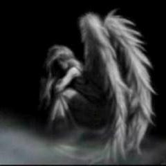 Love Rock n Roll , Read Books like Stephen King, Love To Go to Concerts.Really A Variety Of Music. Please Pray Forever ...