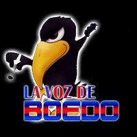 La Voz De Boedo (@lavozdeboedo) 's Twitter Profile