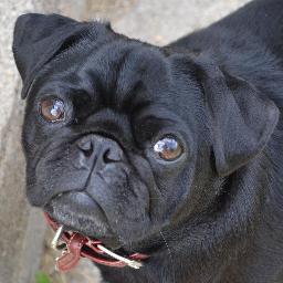 DSWconstruction's profile picture. 35 years of Experience in building and home remodeling. We pride ourselves on offering competitive pricing, quality building, and timely completion of projects.