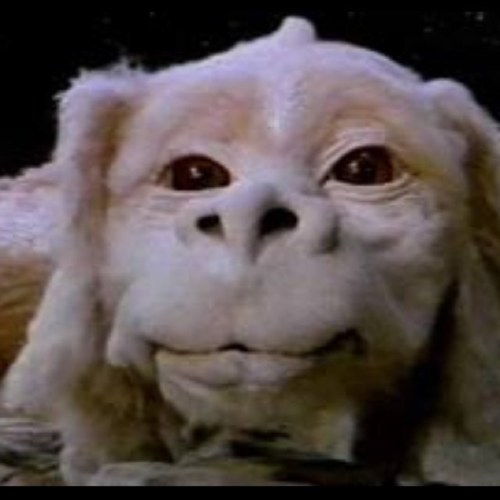 disgruntleddsgn's profile picture. 