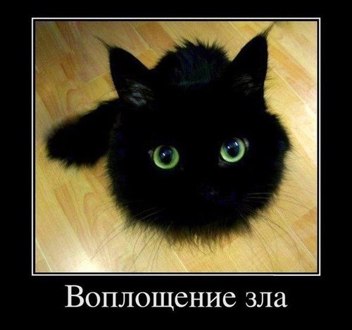 Whoami?