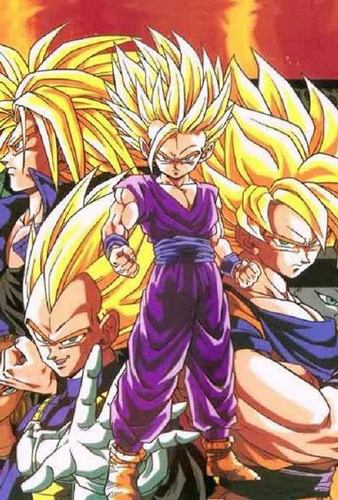 ドラゴンボール大好き!!ワンピース大好き!!DB、OP垢でございます☆