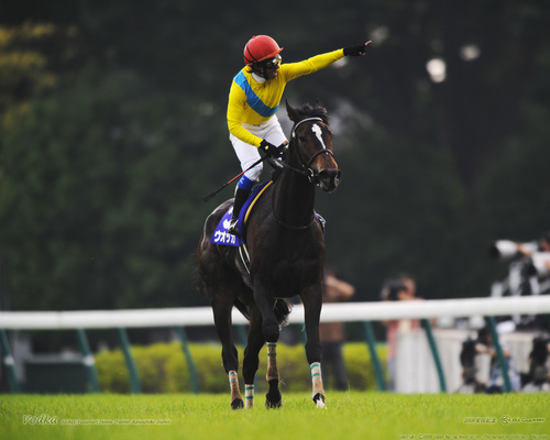 FC今治 9 近藤高虎　　FC今治レディース 17 中山裕香