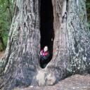 Tamara Haynes - @Hortchick - Twitter