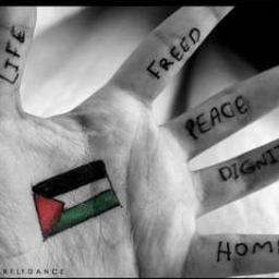Up-to-date news live from Palestine..