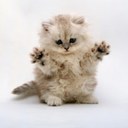 Maria - @MariaBarbeiro - Twitter