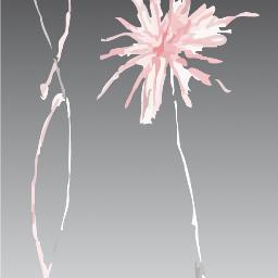 ggtcharity's profile picture. 