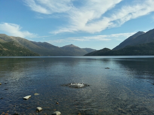 chulobaseggio's profile picture. Hincha muy fanatico de SAN LORENZO