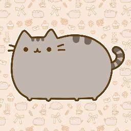 CATS :D WHEEEE