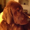 Laura Cinquini - @CinquiniLaura - Twitter