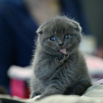 someone