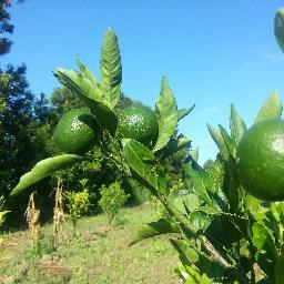 haeyong1222's profile picture. 대한민국의 재산 지킴이