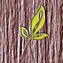 TIENDA DE PRODUCTOS ECOLOGICOS, ALERGIAS ALIMENTARIAS (GLUTEN, HUEVO, LECHE, SOJA, AZÚCAR, ...), COSMETICA, HIGIENE, TODO PARA EL BEBÉ
