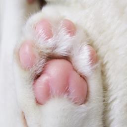 makeit404's profile picture. 