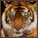 Paul Chilton - @PaulChilton2 - Twitter