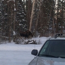 margaret fast - @margaretcfast - Twitter