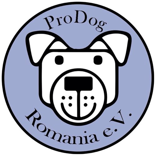 ProDogRomaniaさんのプロフィール画像
