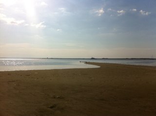 amadouer's profile picture. 