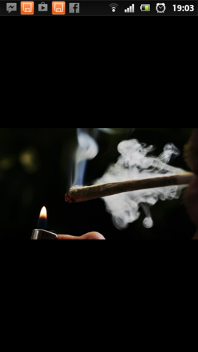 Realize and legalize! im here to bring people banging tunes, fat smokes, decent banter and just funny ass shit; stay high people, one love Mary-Jane #FollowBack