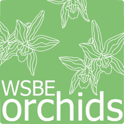 The Tweeting home to the Writhlington Orchid Project