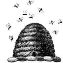 Jacqueline St John - @SssssJohn - Twitter