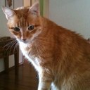 Carolina Ramírez - @PatCaro_Ramirez - Twitter