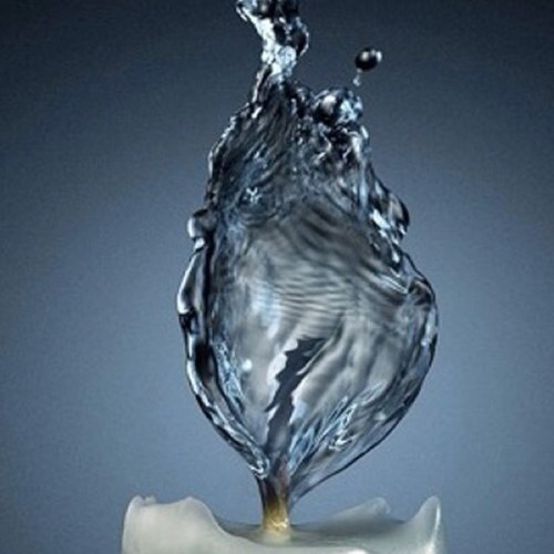 lor427's profile picture. 